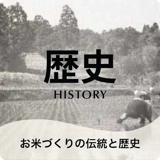 歴史 お米づくりの伝統と歴史