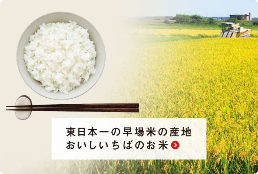 東日本一の早場米の産地おししいちばのお米