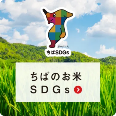 ちばのお米SDGs