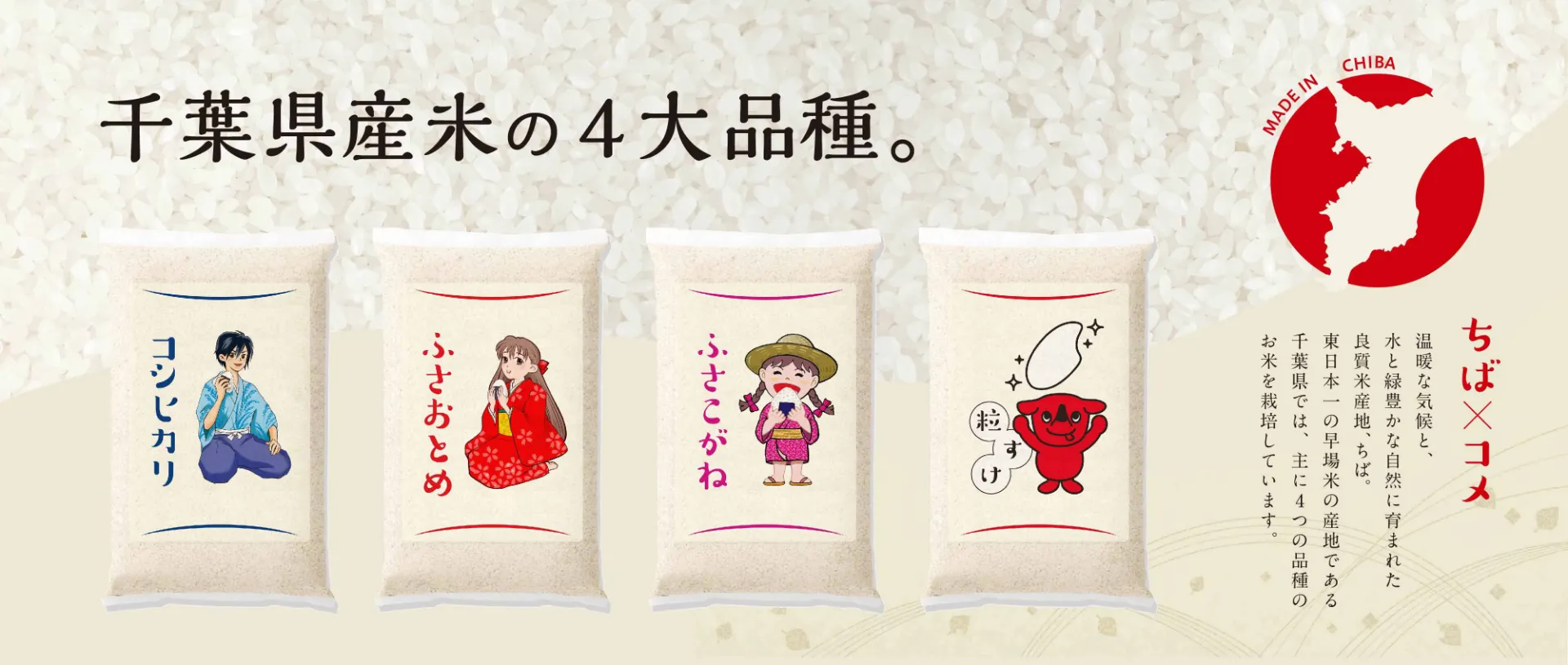 千葉県産米の4大品種